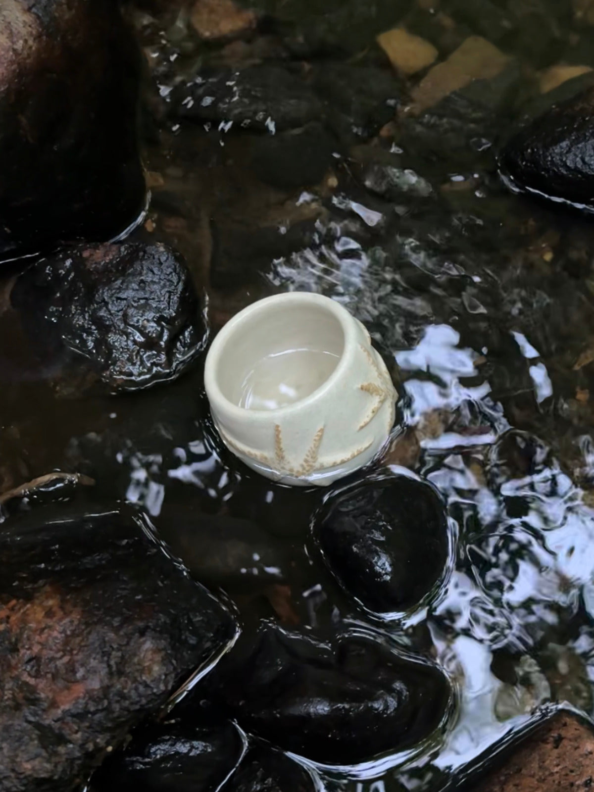 cup with stars