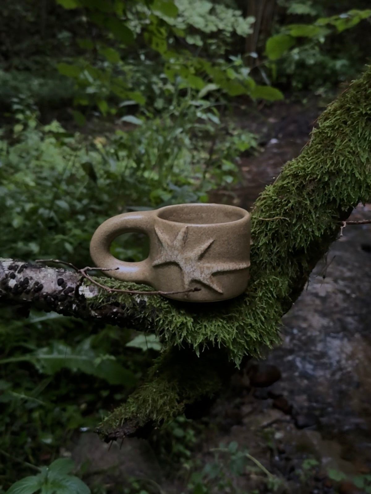 mug with stars